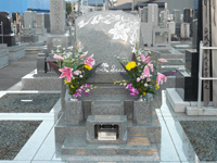 �a�m�^��Ύ{�H��1