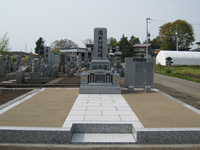 �a�^��Ύ{�H��5