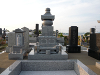 �a�^��Ύ{�H��9