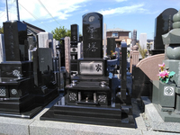 �a�^��Ύ{�H��22